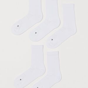 Bernard 5 pack - Image 1