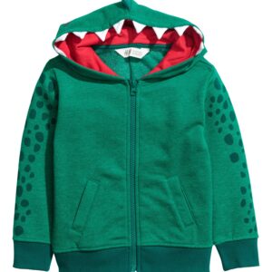 APU HOOD - Image 1