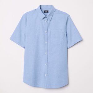 Fagan SS - Image 1