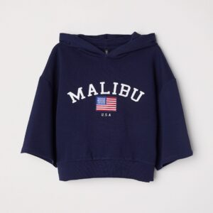 Swizzle follow up ss hood - Image 1