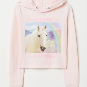 RUSSEL CROP HOODIE - Image 1