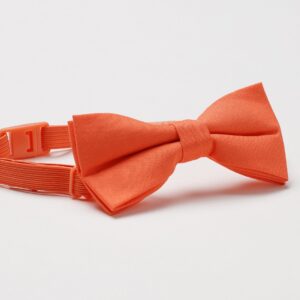 Dingo solid shirt - Image 1