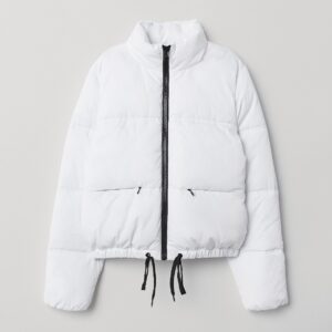 Dublin puffer ISW46 - Image 1