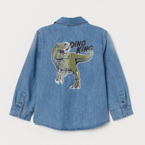 Shirt Fancy - Image 1
