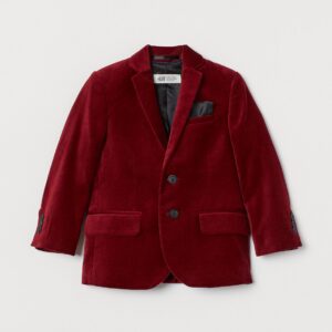 Levin Velvet Blazer - Image 1